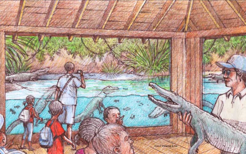 alligator hole exhibit 