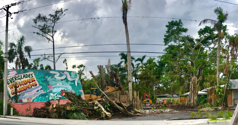 Read more about the article The Everglades Wonder Gardens | Back Better Than Ever After Hurricane Irma