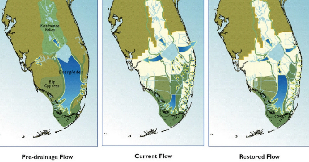 Read more about the article New Hope For South Florida Water Quality