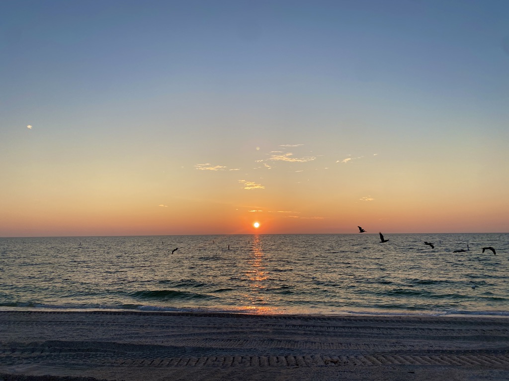 You are currently viewing SWFL Beach Reopening Update