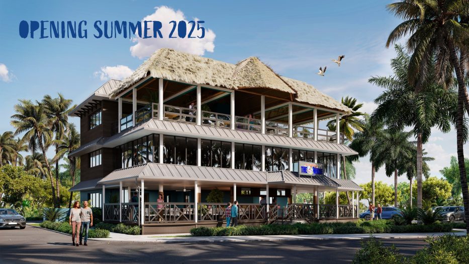 Read more about the article The Whale FMB Announces Summer 2025 Opening Date Amidst Rebuild