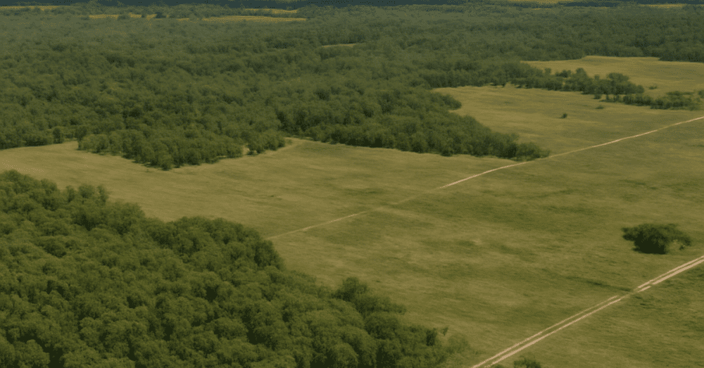 Read more about the article Massive Land Deal in Lee County: $92.8M Purchase for Kingston Project