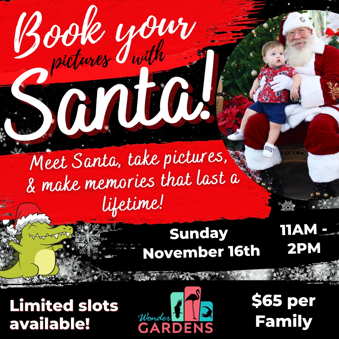 bonita springs events bonita springs realtor