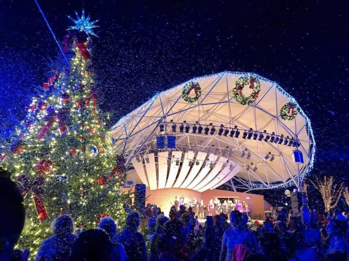 Read more about the article A Local’s Guide to The Best Christmas Lights in Southwest Florida