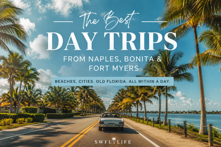 The BEST Summer Day Trips to Take From SWFL