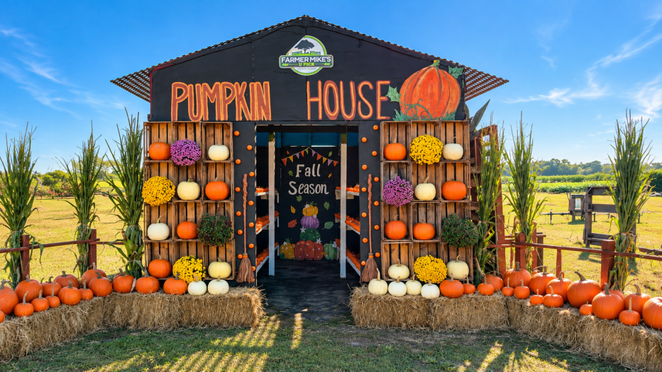 Fall Festivals in Southwest Florida 2026
